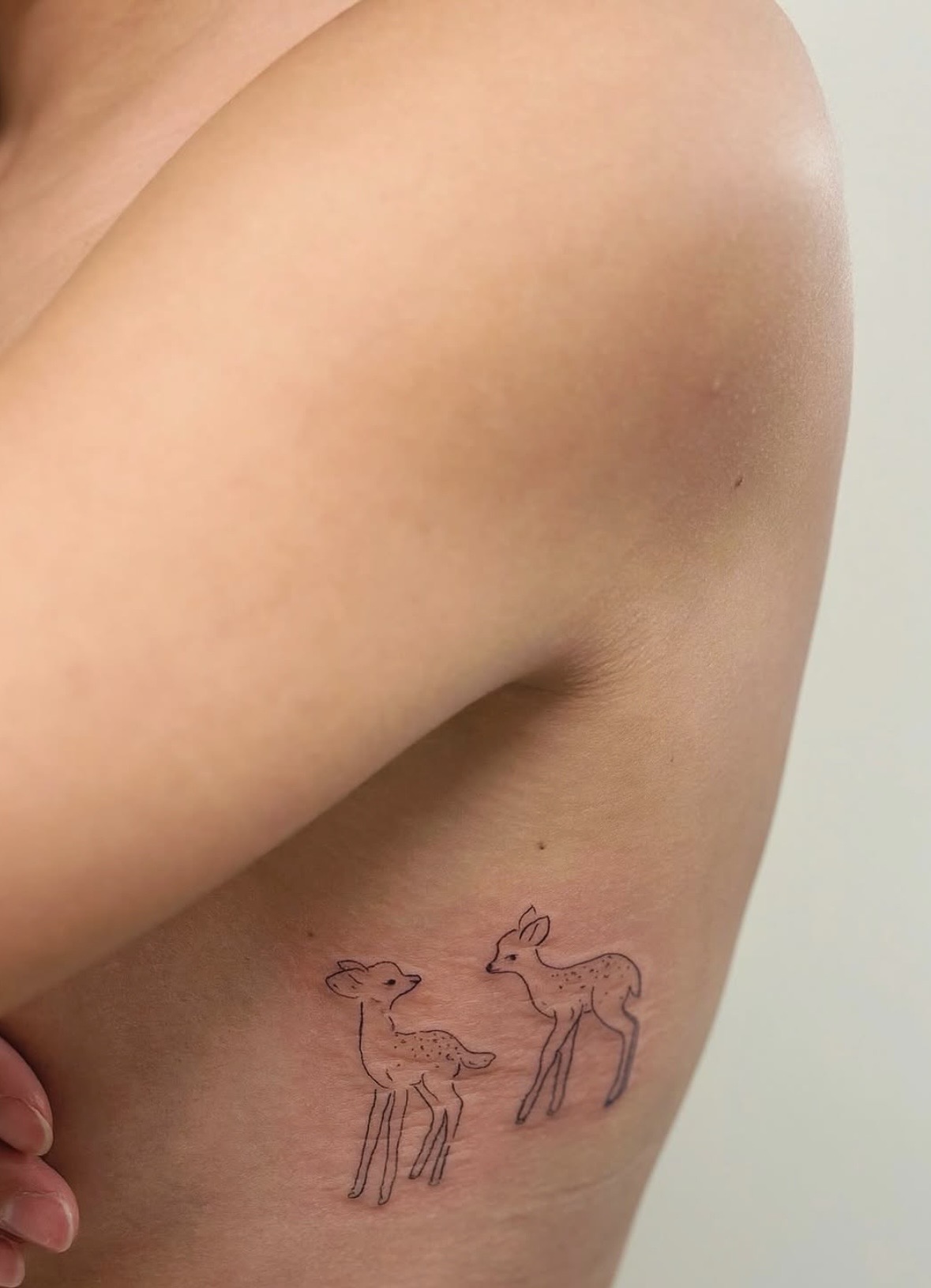 fine-line — ribs