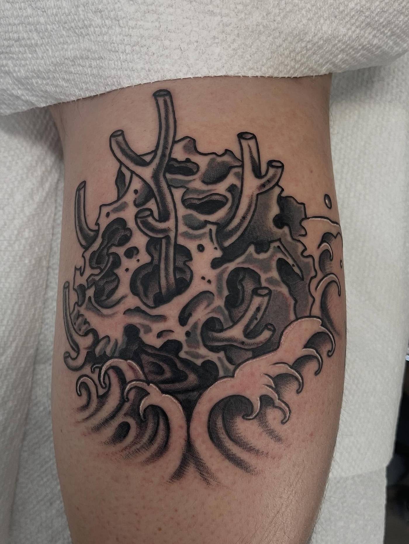 Work by Kyle Mcmeans on calf