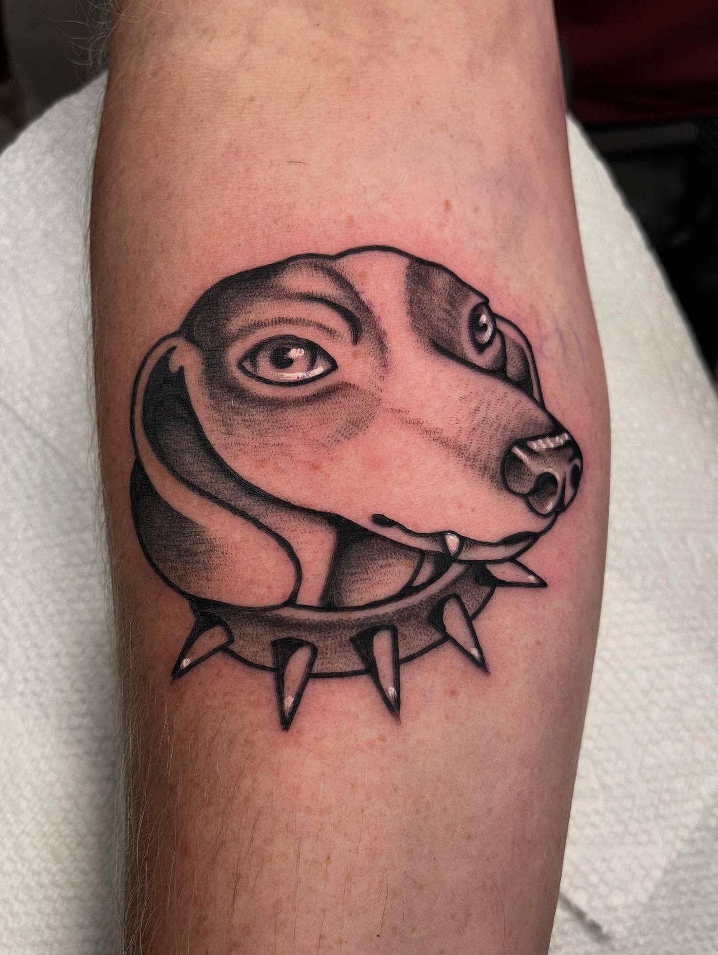 Work by Kyle Mcmeans on calf