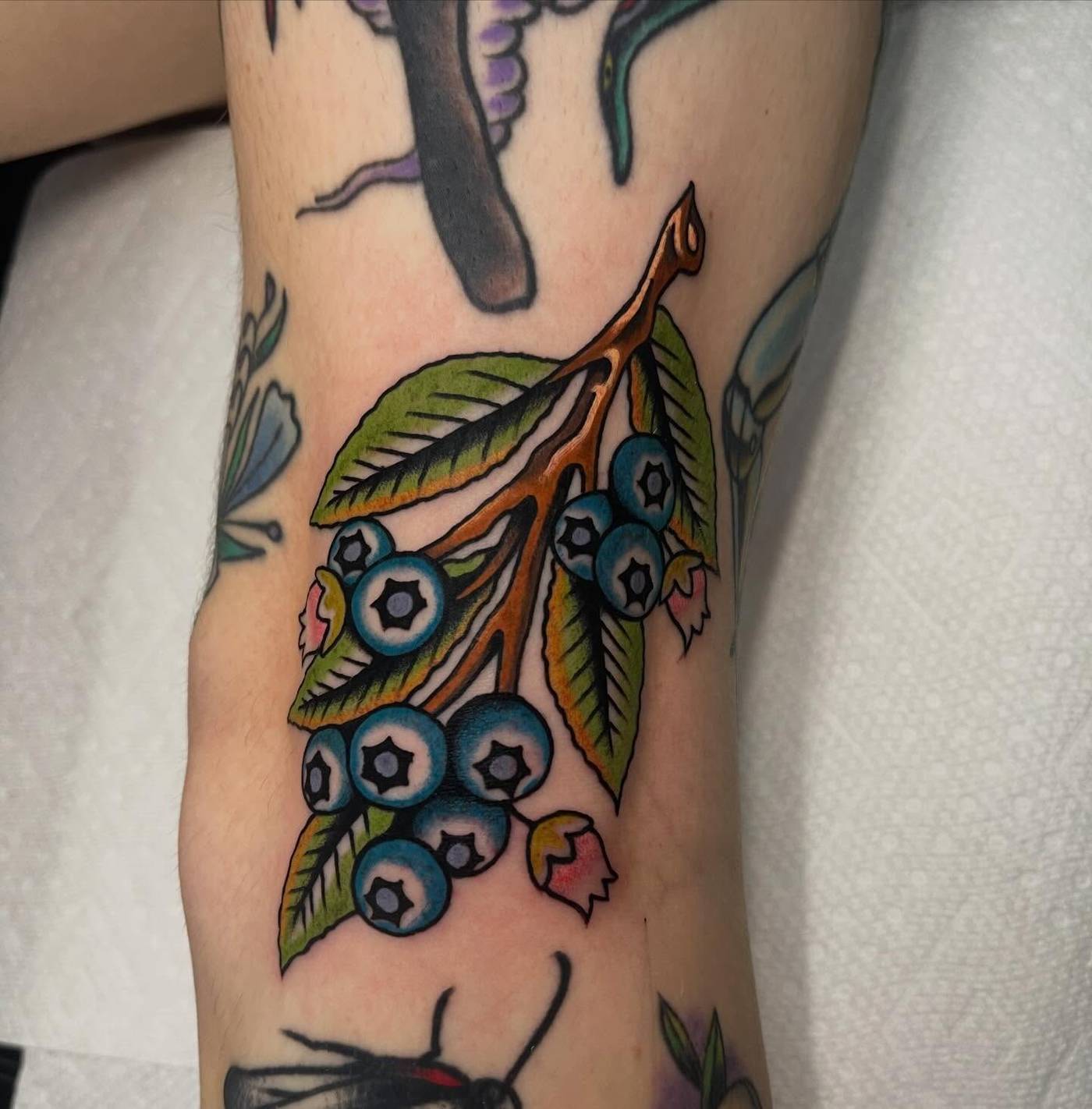 Work by Kyle Mcmeans on knee