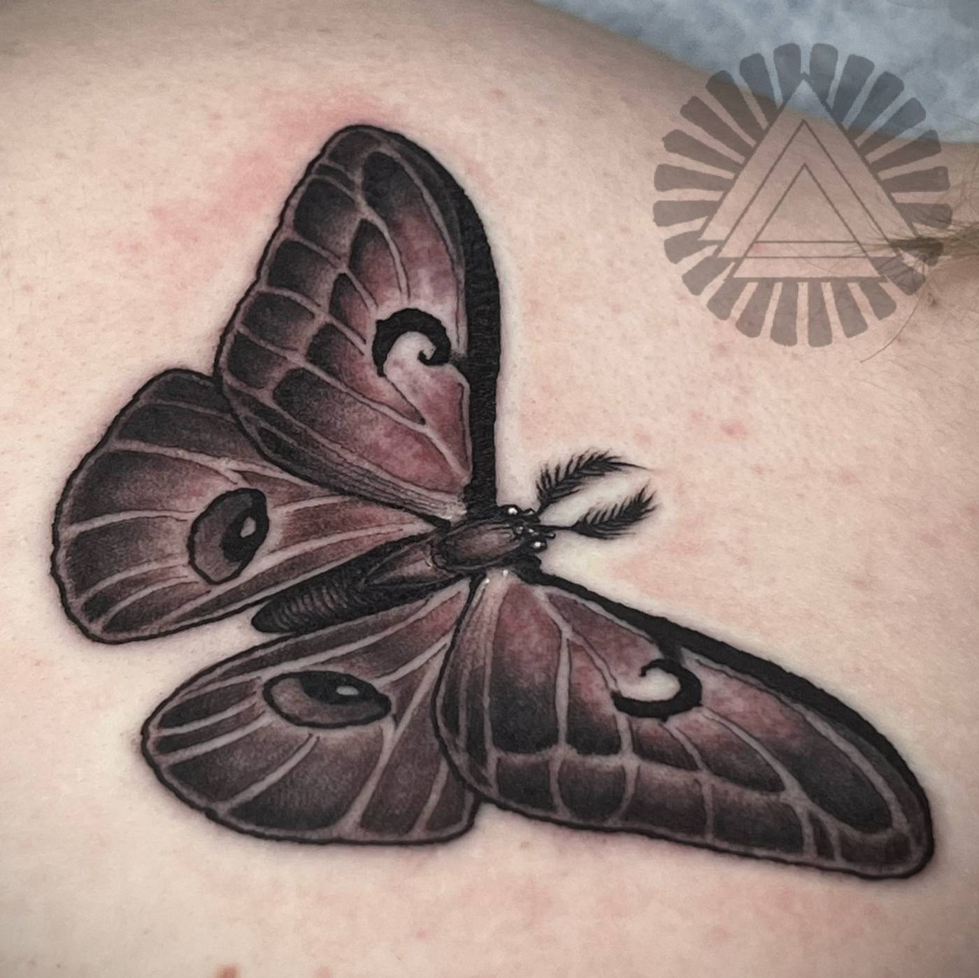 Work by Jonny Lashley on shoulder