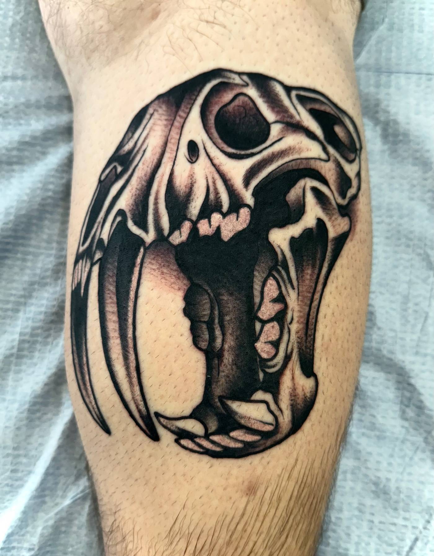 Work by Nick Mella on calf