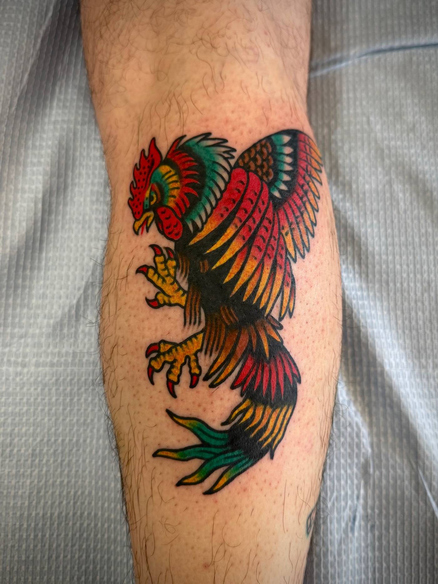 Work by Nick Mella on calf