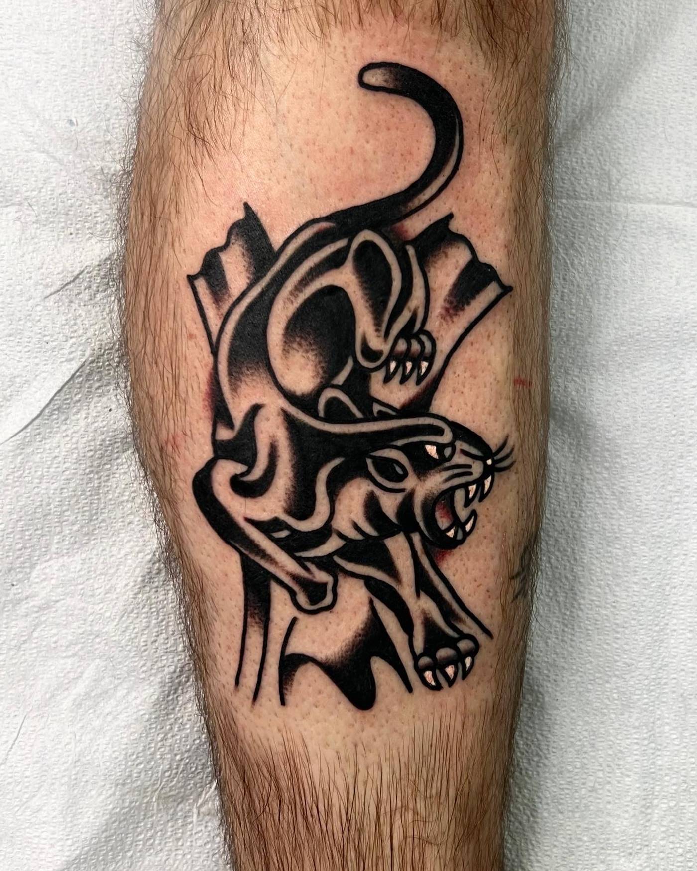 Work by Nick Mella on calf