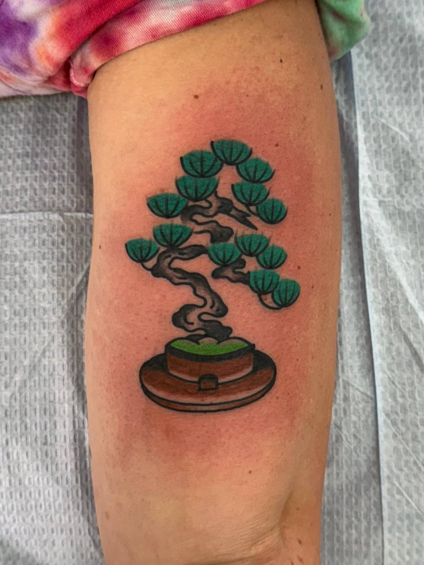 Work by Nick Mella on calf