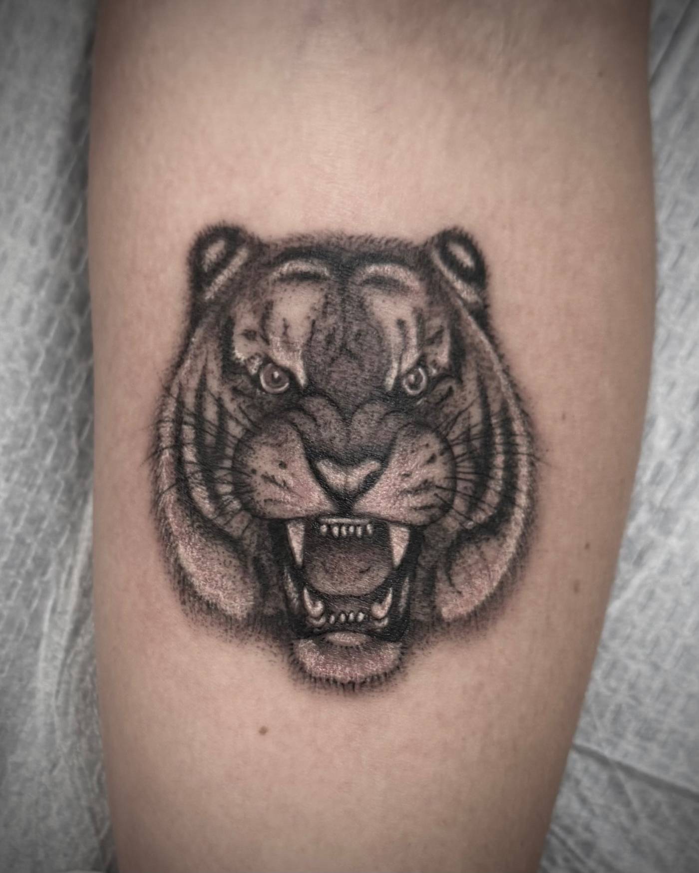 Nick Mella, featured work, 1 of 7
